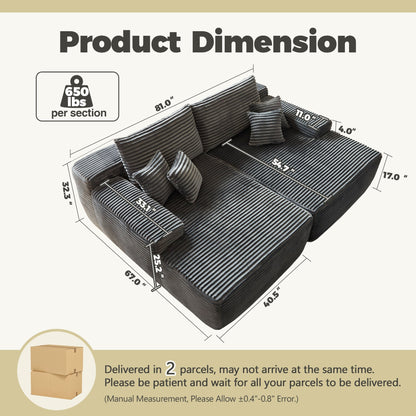 81" Boneless Sofa Sleeper Couch